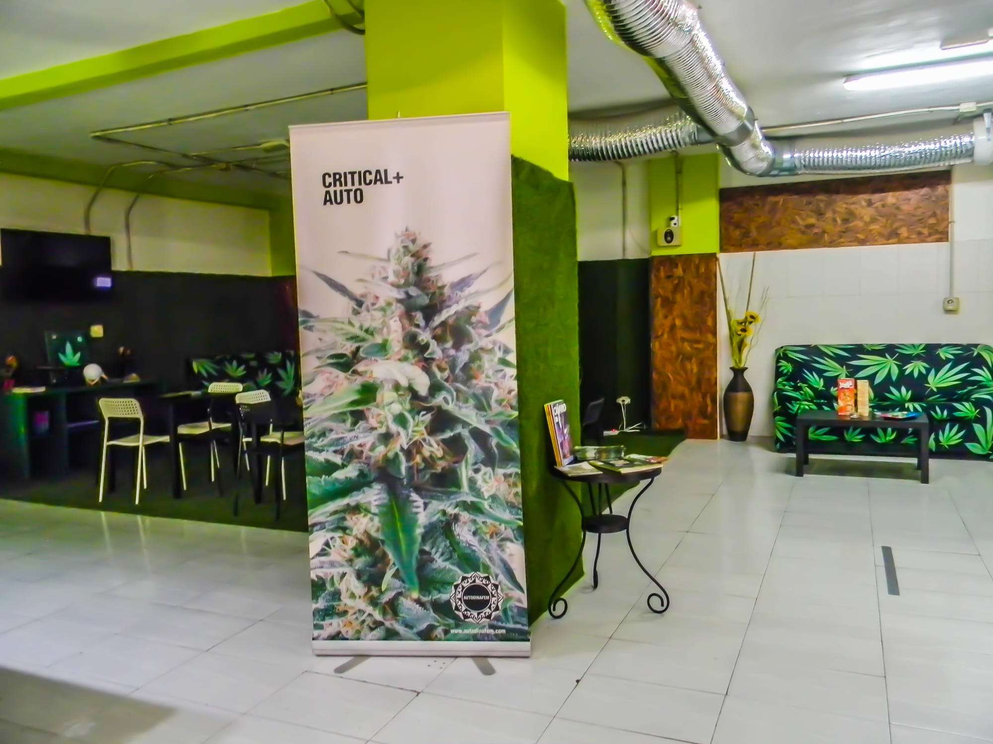 WhatsApp Image 2025-01-30 at 11.17.50 (2)